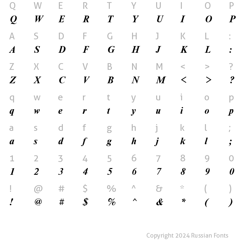 Character Map of Newton Bold Italic