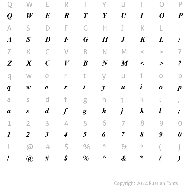 Character Map of Time Roman Bold Italic